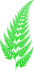Fractal Fern Leaf